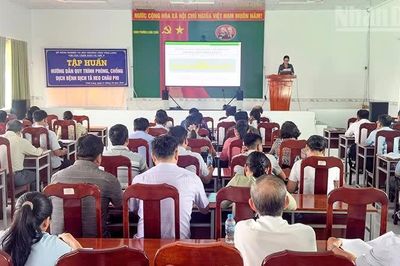 Vĩnh Long: Nâng cao năng lực phòng, chống dịch tả lợn châu Phi cho gần 1.800 cán bộ cơ sở