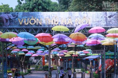 [Ảnh] Toàn cảnh Công viên Thủ Lệ trước khi điều chỉnh quy hoạch