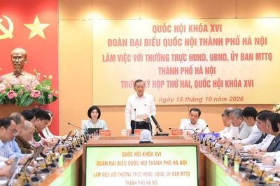 Cử tri Hà Nội kiến nghị tháo gỡ vướng mắc về đất đai, nhà ở và hỗ trợ sản xuất, kinh doanh