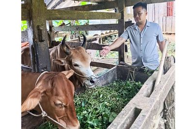 Tạo sinh kế, khơi ý chí thoát nghèo