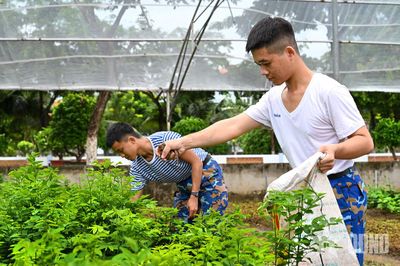 Doanh trại xanh sạch đẹp nhờ hội thi 4 chuyên ngành hậu cần