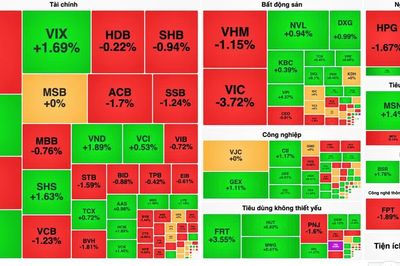 VN-Index 'thủng' mốc 1.700 điểm nhưng thị trường chứng khoán nghiêng về sắc xanh