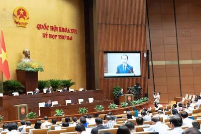 Các cá nhân có trình độ đại học trở lên đều có thể trở thành đấu giá viên
