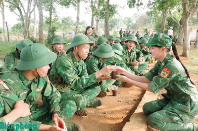 Những bông hoa mang quân hàm xanh