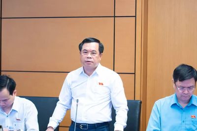 Khi đấu giá trực tuyến gặp sự cố: Không thể để người tham gia tự gánh thiệt hại