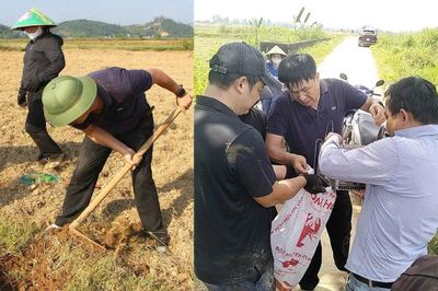 Bí thư, Chủ tịch xã ở Nghệ An lội ruộng cùng người dân... bắt chuột