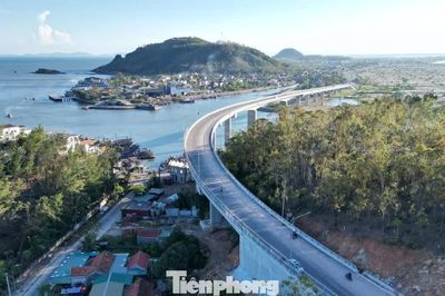 Yêu cầu rà soát biển báo trong vụ tài xế 'mắc kẹt' vì biển 40km/h bủa vây dọc đường