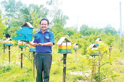 Làm 'biệt thự' cho ong dú