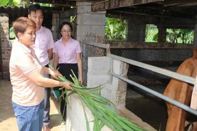 Vùng núi cao Hà Quảng đổi thay nhờ vốn tín dụng chính sách