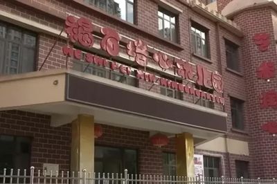 Trộn màu vẽ vào thức ăn khiến hơn 200 trẻ ngộ độc, chủ trường lĩnh án chung thân