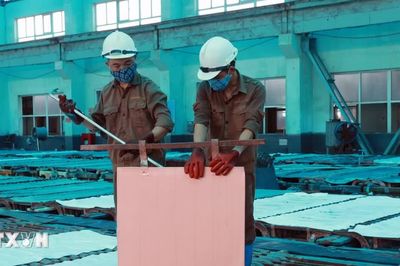 Lào Cai: Thành lập Cụm công nghiệp Xuân Ái với vốn đầu tư hơn 815 tỷ đồng