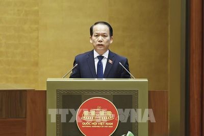Quốc hội: Đề xuất nhiều quy định mới về hành nghề luật sư và nuôi con nuôi