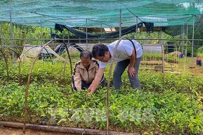 Nghị quyết 57-NQ/TW: Đà Nẵng phát triển nông nghiệp công nghệ cao, tập trung chuỗi giá trị
