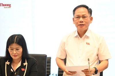 Đại biểu kiến nghị siết quản lý đấu giá, hoàn thiện quy định hành nghề luật sư