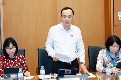 Đại biểu Quốc hội: Chống bỏ cọc nhưng không làm khó người mua đất có nhu cầu thực