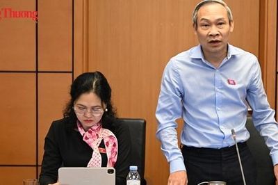 Đại biểu đề nghị bỏ rào cản bằng đại học với đấu giá viên