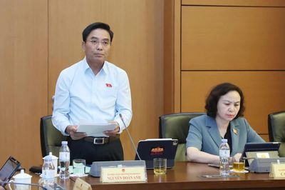 Đại biểu Quốc hội tỉnh Thanh Hóa đề xuất hoàn thiện quy định về nuôi con nuôi, bảo đảm quyền lợi trẻ em