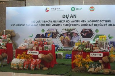 Cải thiện kỹ năng, an toàn lao động để tăng sức cạnh tranh của doanh nghiệp tôm và lúa gạo