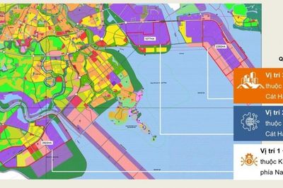Hải Phòng công bố 711 thủ tục hành chính tại Khu thương mại tự do