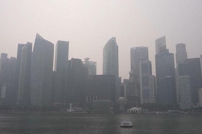 Singapore tăng cường ứng phó khói mù xuyên biên giới