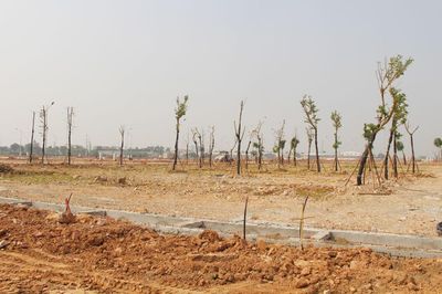 Hoàn thiện hạ tầng, bàn giao khu tái định cư Đông Cứu 1