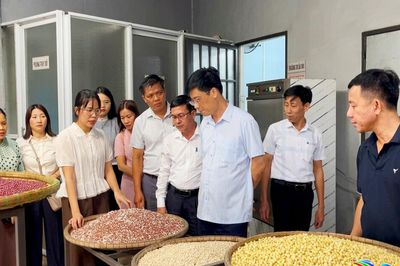 Giữ nguồn nguyên liệu sản xuất qua mùa mưa bão