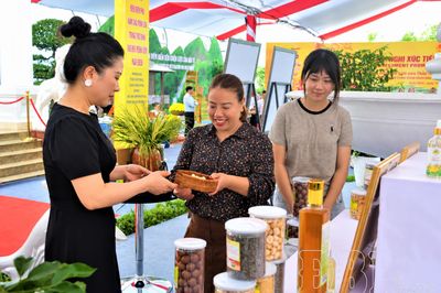 Phụ nữ Điện Biên trong nhịp chuyển mình
