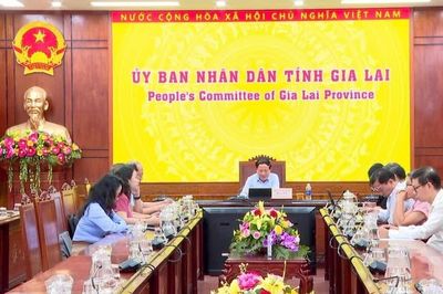 Chủ tịch UBND tỉnh Gia Lai làm việc với Hiệp hội Kinh tế - Văn hóa Hàn Việt và doanh nghiệp Hàn Quốc