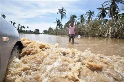 Bão Trudy suy yếu, Mexico vẫn đề phòng sóng lớn và mưa lũ