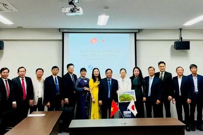 Đoàn công tác tỉnh Gia Lai làm việc với Cục Kinh tế Thương mại và Công nghiệp vùng Kansai
