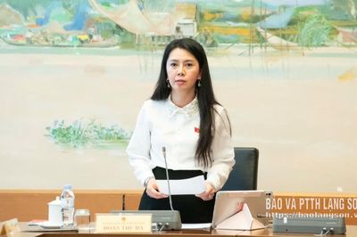 Đoàn đại biểu Quốc hội tỉnh góp ý vào một số dự án luật