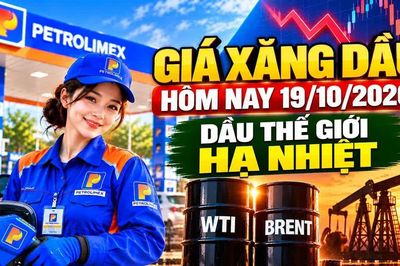 Giá xăng dầu 19/10/2026: Dầu thế giới quay đầu giảm phiên đầu tuần