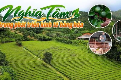 Nghĩa Tâm tập trung phát triển kinh tế hàng hóa