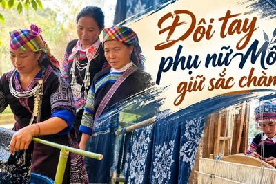 Đôi tay phụ nữ Mông giữ sắc chàm