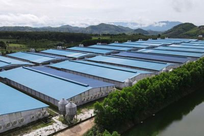 Siết chặt quản lý môi trường trong chăn nuôi ở phía Tây tỉnh