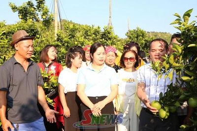 Hỗ trợ phụ nữ dân tộc thiểu số phát triển kinh tế