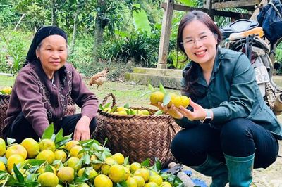 Sức trẻ trong xây dựng cấp ủy, chính quyền cơ sở