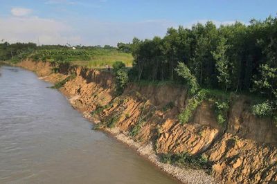 Cận cảnh sạt lở trên sông Trà Khúc cuốn trôi đất sản xuất, đường sá, uy hiếp nhà dân