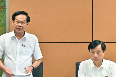 Bảo vệ tốt nhất quyền, lợi ích của trẻ em