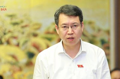 Phân định rõ thẩm quyền trong quy trình tổ chức đấu giá