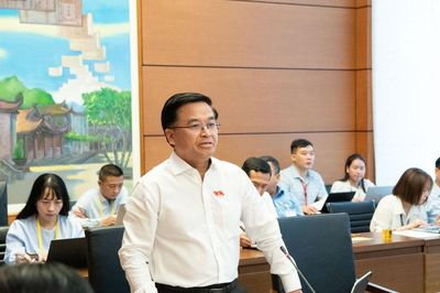 Luật sư phải có bằng cử nhân luật