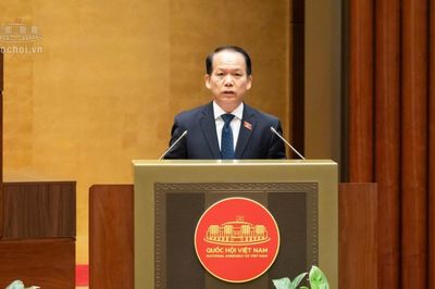 Đề xuất nhiều quy định nhằm hạn chế 'cò mồi', bỏ cọc khi đấu giá đất