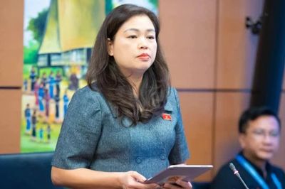 Đại biểu Quốc hội tỉnh kiến nghị nhiều điểm mới trong dự án Luật Nuôi con nuôi (sửa đổi)