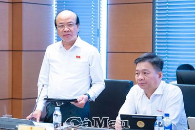 Đoàn đại biểu Quốc hội tỉnh Cà Mau góp ý 3 dự án luật