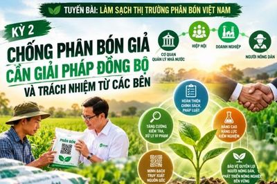 Làm sạch thị trường phân bón Việt Nam - Kỳ 2: Cần giải pháp đồng bộ
