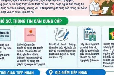 Phường Tân Lập thông báo tìm chủ sử dụng đối với các thửa đất chưa xác định được chủ đất