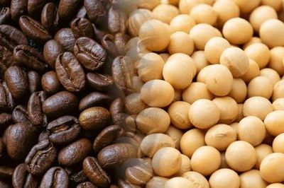 Giá cà phê và đậu tương diễn biến trái chiều tuần qua