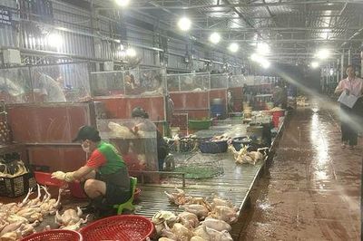 ​Phúc Thọ tập trung quản lý giết mổ động vật, bảo đảm an toàn thực phẩm
