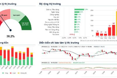 Xu hướng chứng khoán 19/10, nâng tỷ trọng cổ phiếu