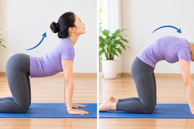 6 bài tập đơn giản giúp tăng cường sức mạnh cho lưng tại nhà